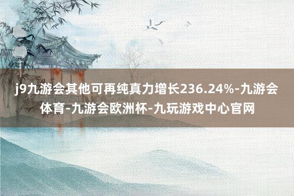 j9九游会其他可再纯真力增长236.24%-九游会体育-九游会欧洲杯-九玩游戏中心官网