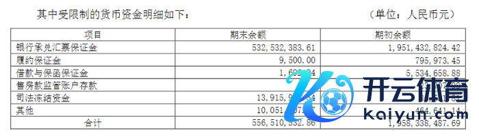 约束2023年末东方集团货币受限情况，图源：2023年年报