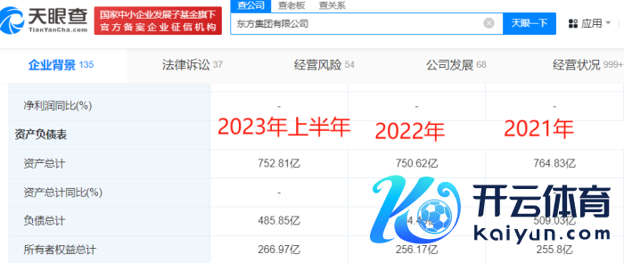 东方集团有限公司总资产情况，图源：天眼查