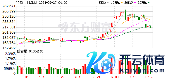 K图 TSLA_0