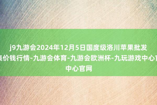 j9九游会2024年12月5日国度级洛川苹果批发市集价钱行情-九游会体育-九游会欧洲杯-九玩游戏中心官网